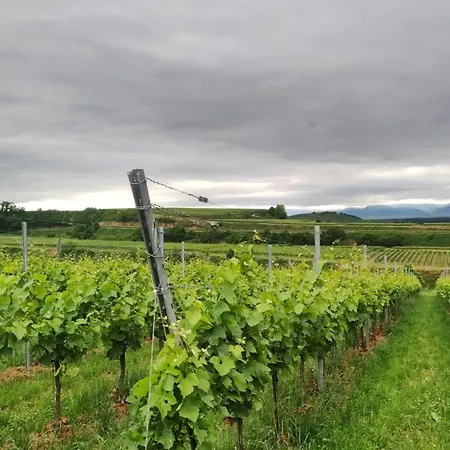 Sonnenhof - Anbau * Ottenhofen im Schwarzwald